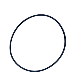 Кольцо уплотнительное для Наутилус Т (размер 168)