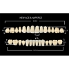 Гарнитуры пластмассовых зубов T5 M32, цвет А3, в боксе, 20 гарнитур