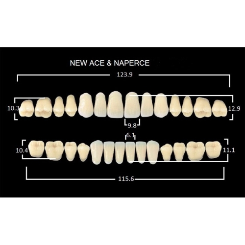 Гарнитуры пластмассовых зубов T6 M32, цвет A2, 28 шт.